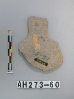 藏品(磨製有肩石斧)的圖片